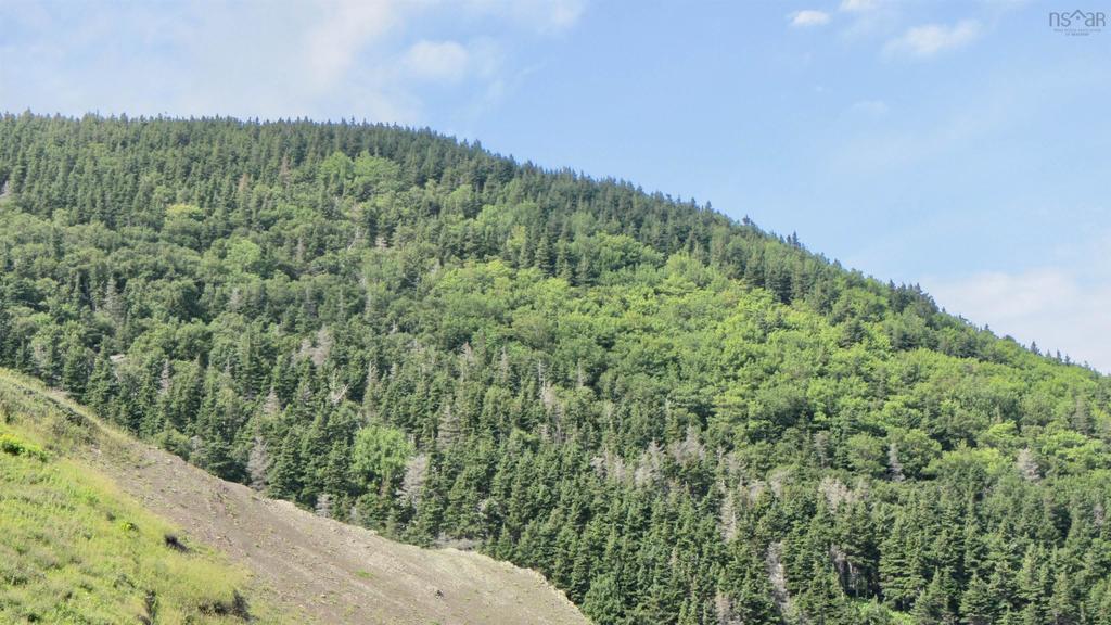 Unit 90  Meat Cove Road, Meat Cove - photo 3