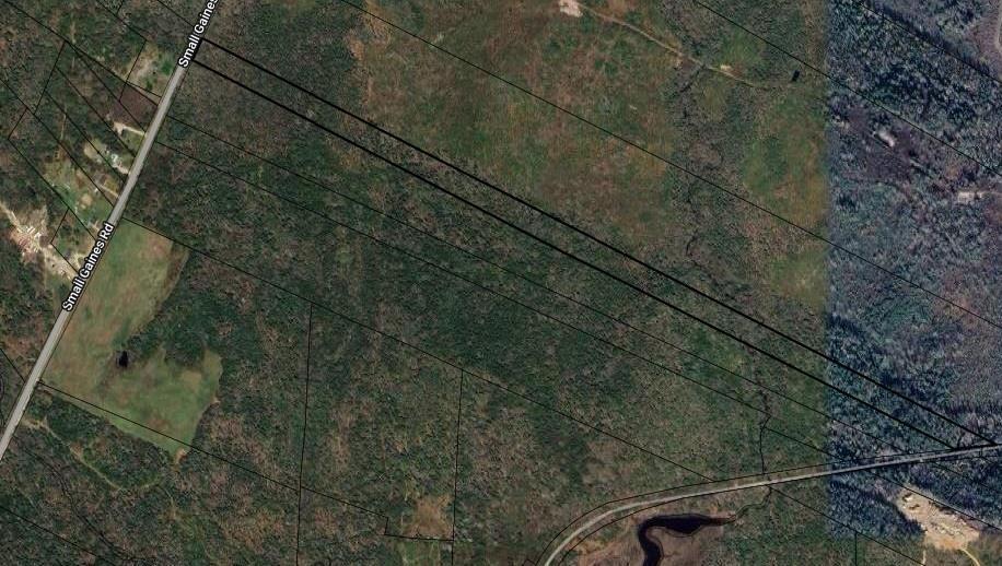  Small Gains Road, Arcadia - photo 3