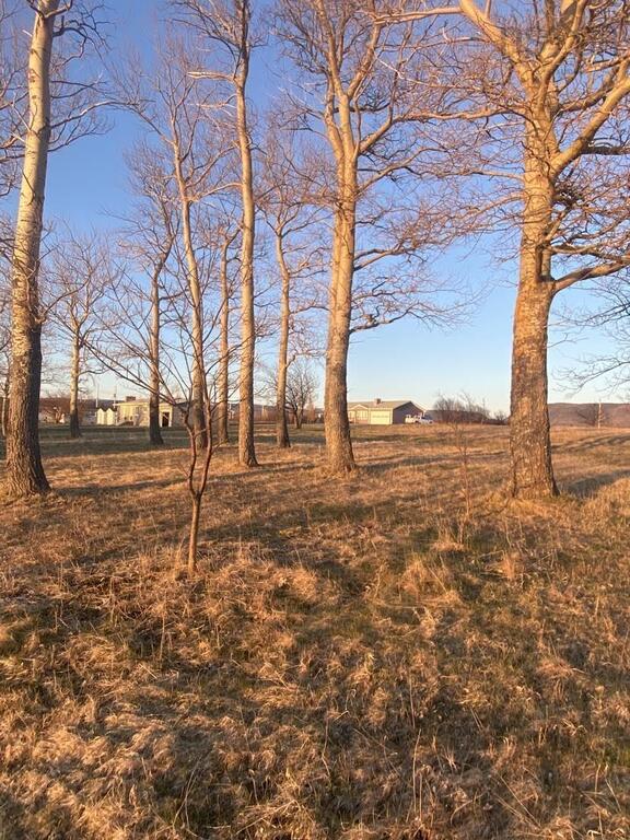 Lot 5 Cabot Trail, Chéticamp - photo 3