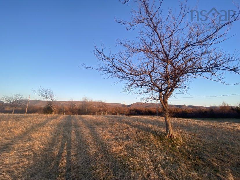 Lot 5 Cabot Trail, Chéticamp - photo 4