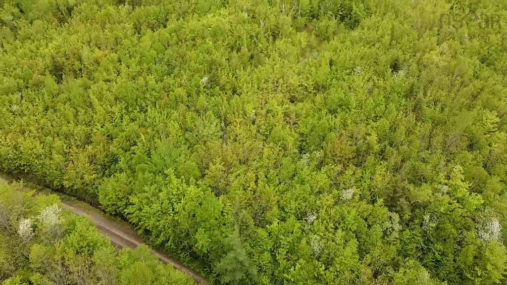 Unit 6  West Side Ainslie Glen Road, West Lake Ainslie - photo 3