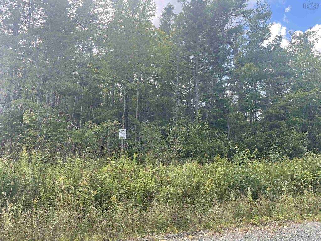  Militia Point Road, Militia Point - photo 4