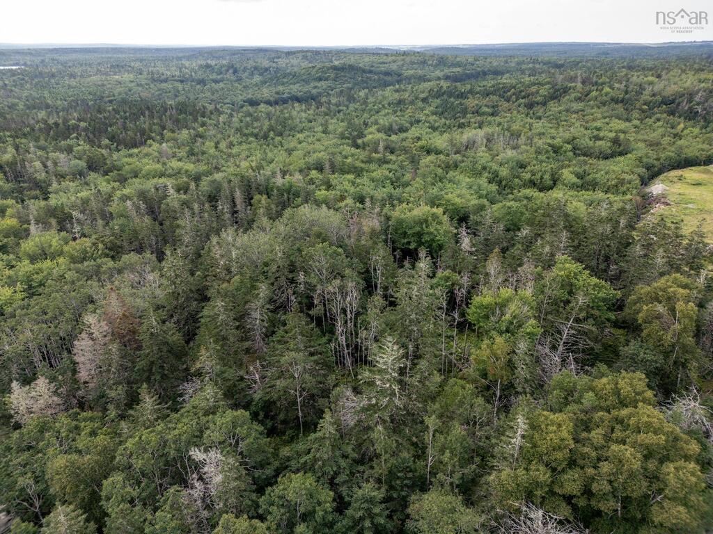 Lot Greenville Road, Greenville - photo 2