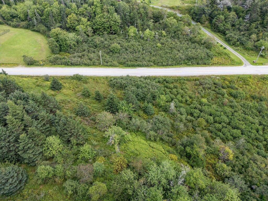 Lot Greenville Road, Greenville - photo 4