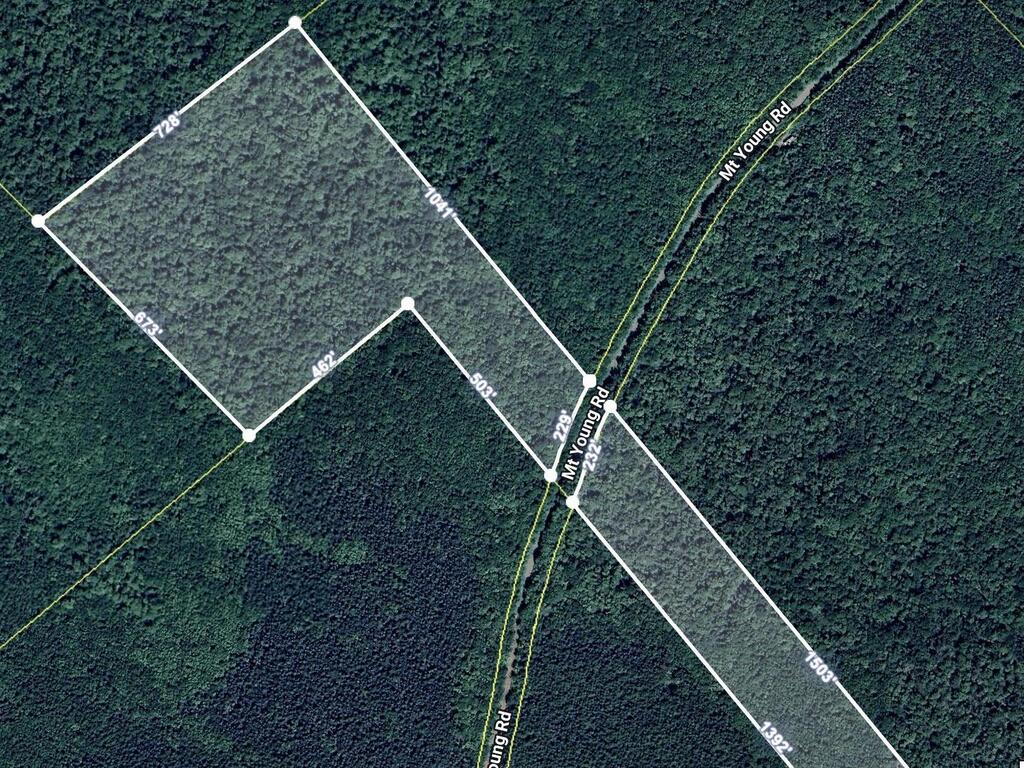  Mt.young Rd. Road, Scotsville - photo 2