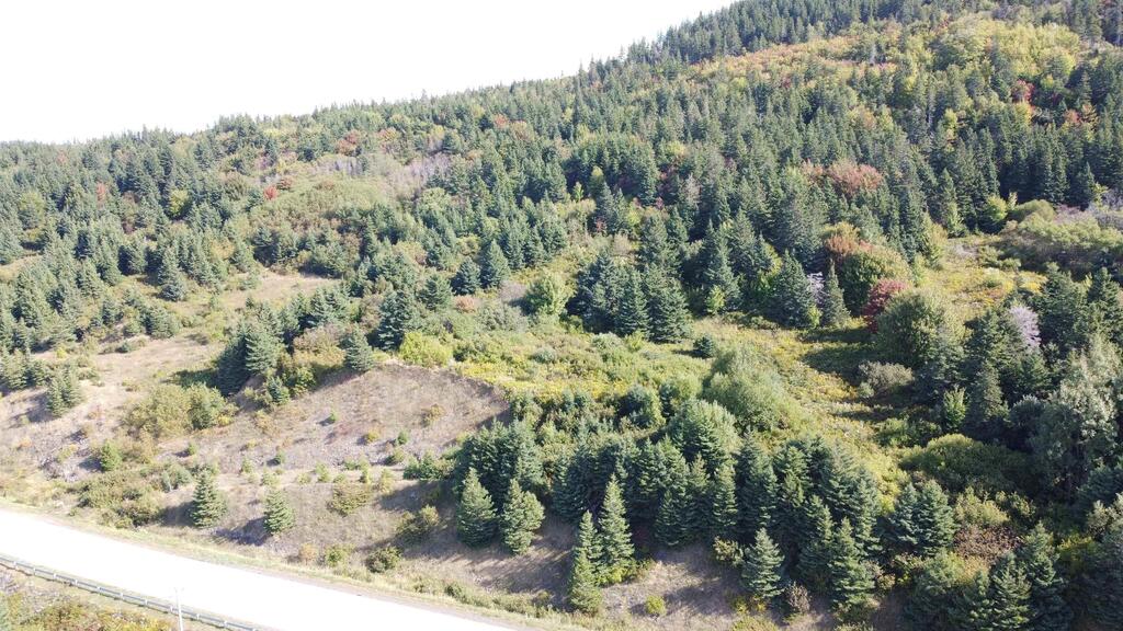  No 19 Highway, Craigmore - photo 4