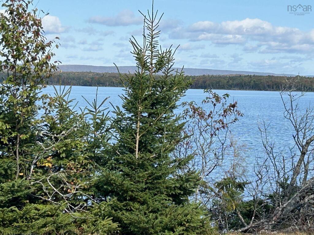 8080 Marble Mountain Road, Malagawatch - photo 2