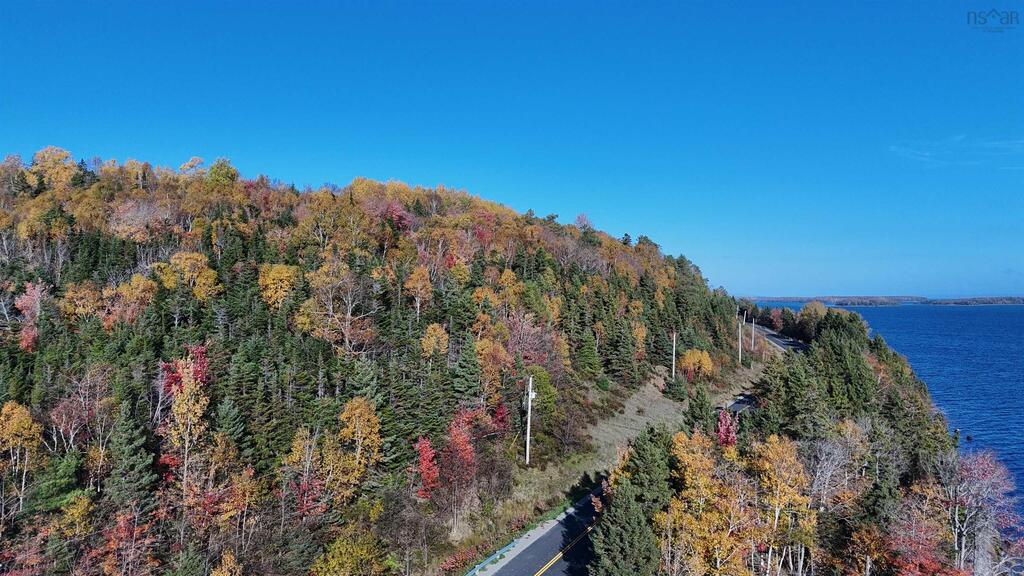  Marble Mountain Road, Lime Hill - photo 4