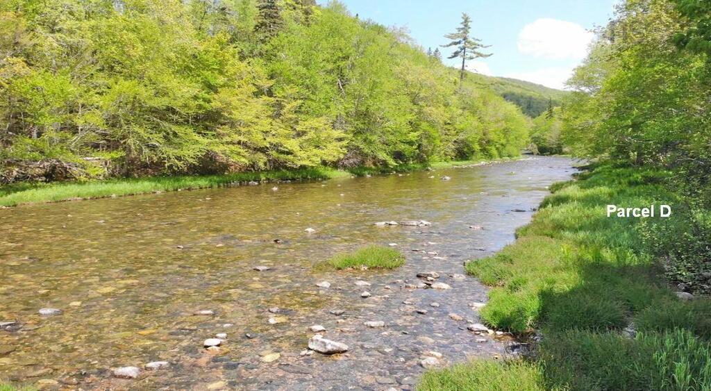 3 Lots Gold Brook Road, Upper Middle River - photo 4