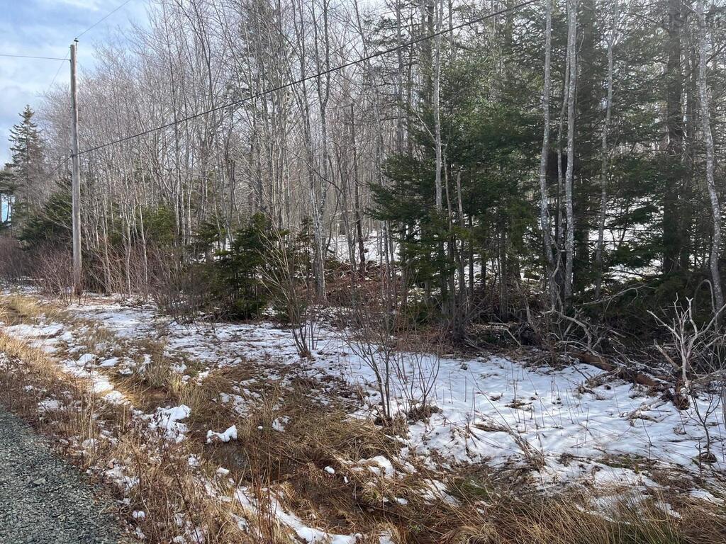  Kempt Head Road, Ross Ferry - photo 2