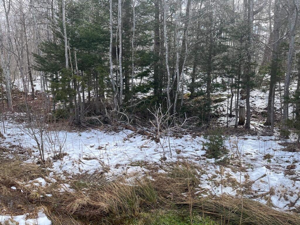  Kempt Head Road, Ross Ferry - photo 3