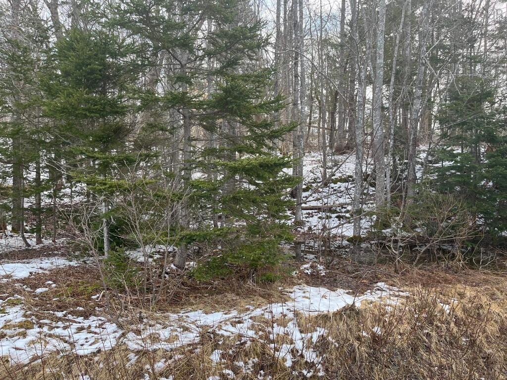  Kempt Head Road, Ross Ferry - photo 4