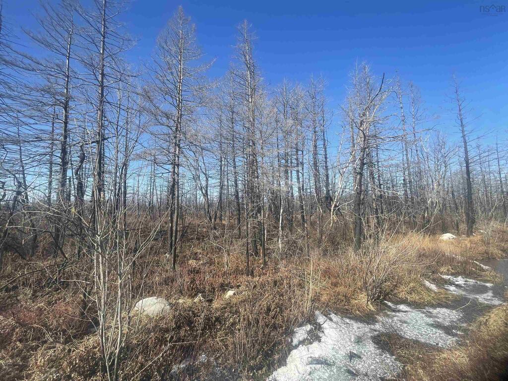 Lot 28 Swaine's Road, Port Clyde