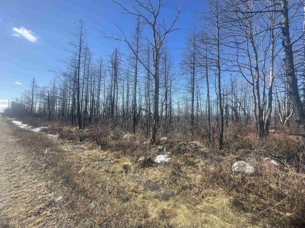 Lot 28 Swaine's Road, Port Clyde - photo 3