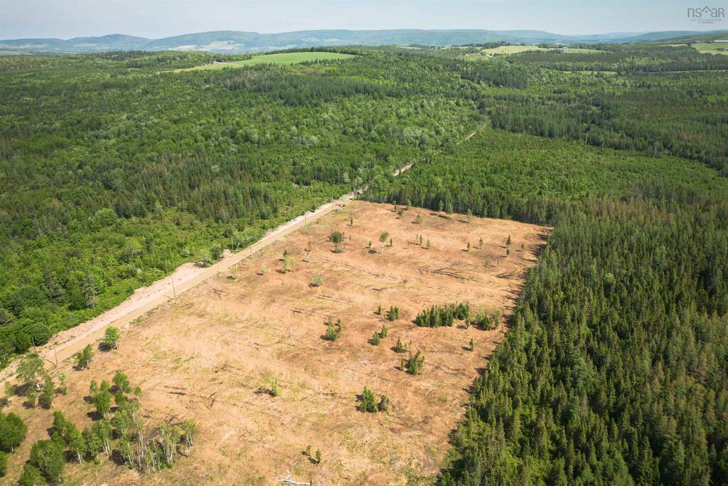 Unit 4  Alpine Ridge Road, Mabou - photo 4