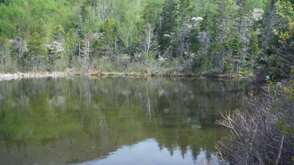  Chemin Du Lac Road, Grand Étang