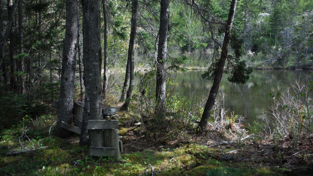  Chemin Du Lac Road, Grand Étang - photo 4
