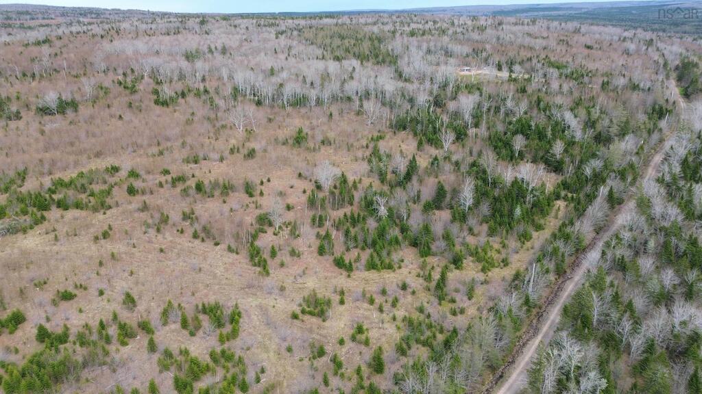  Mason Road, Glendale - photo 3