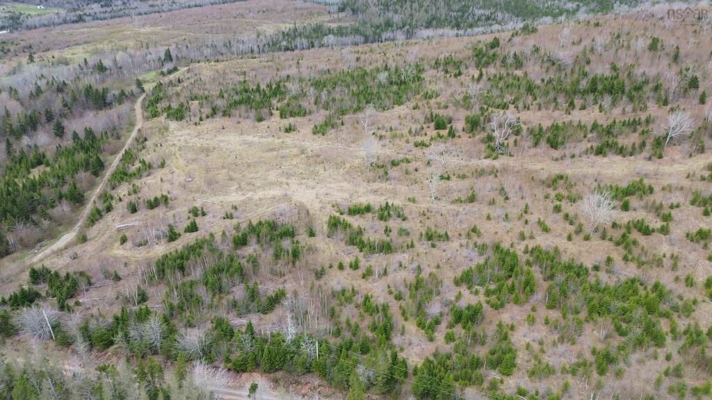  Mason Road, Glendale - photo 4