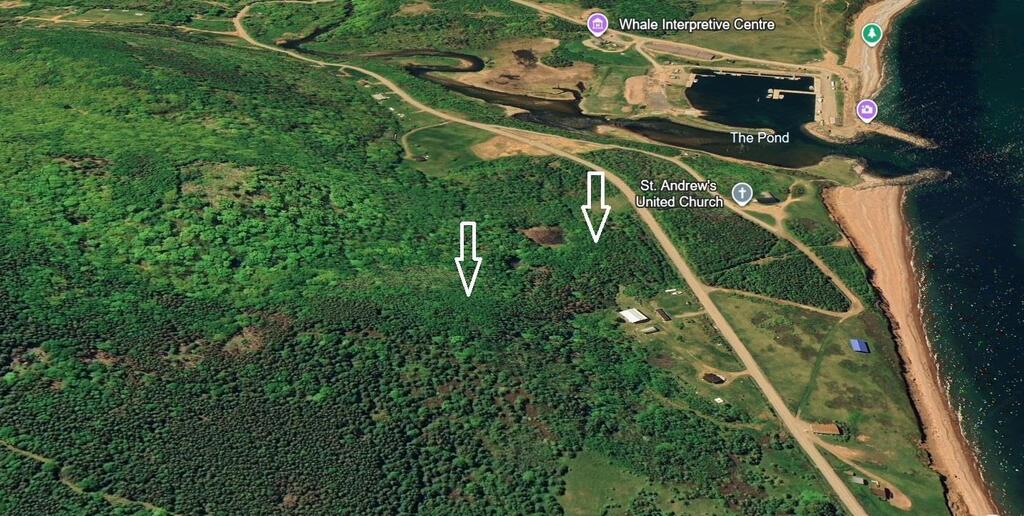  Red River Road, Pleasant Bay - photo 4