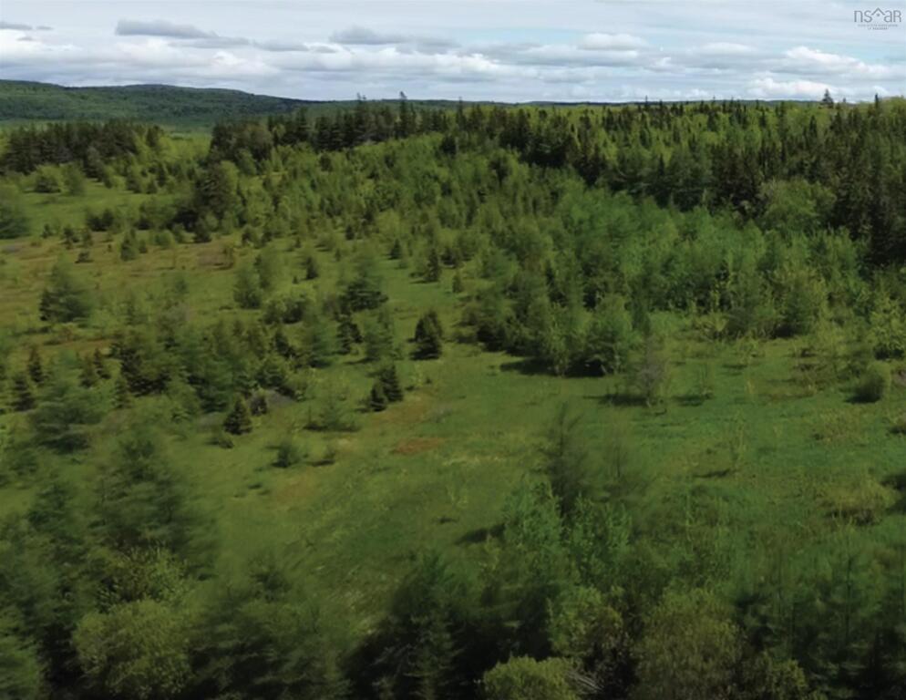 592 Glencoe Road, Glencoe