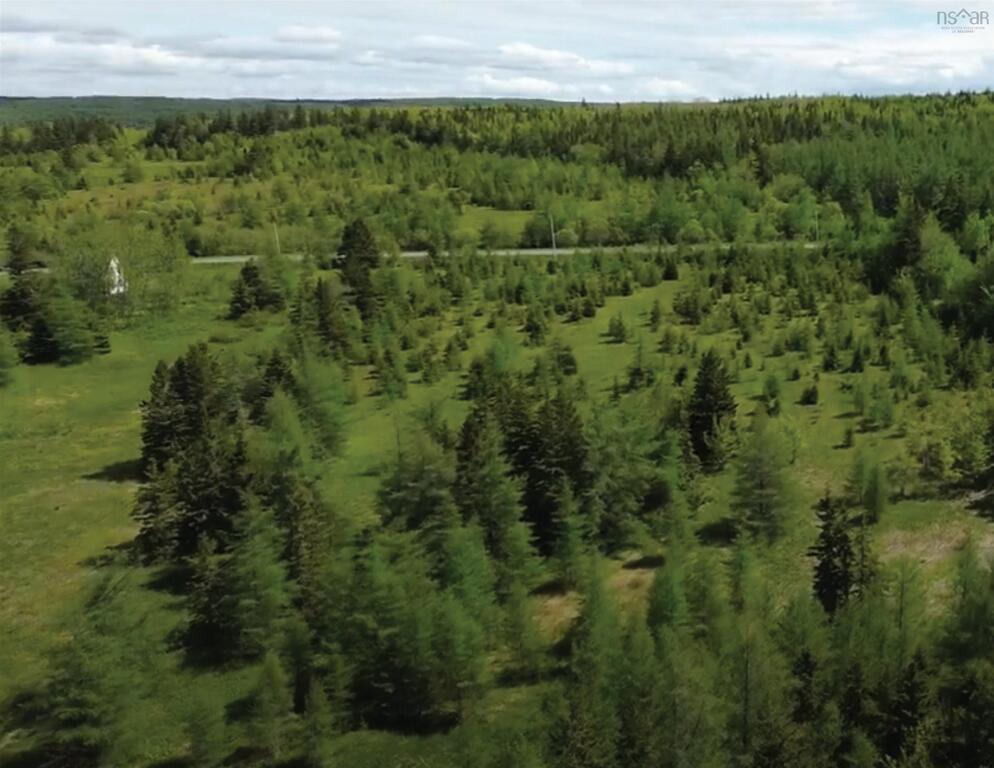 592 Glencoe Road, Glencoe - photo 2