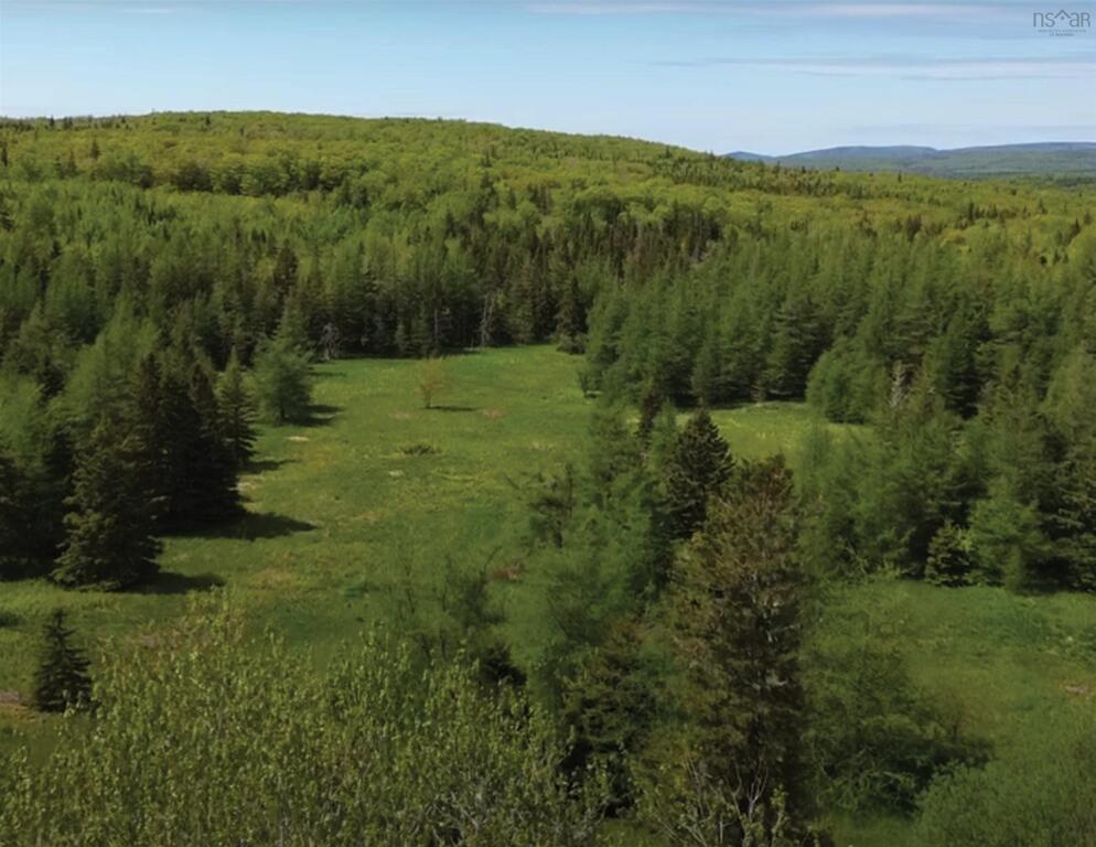 592 Glencoe Road, Glencoe - photo 3