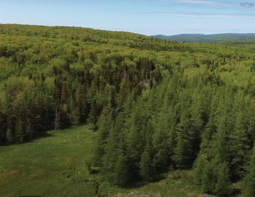 592 Glencoe Road, Glencoe - photo 4