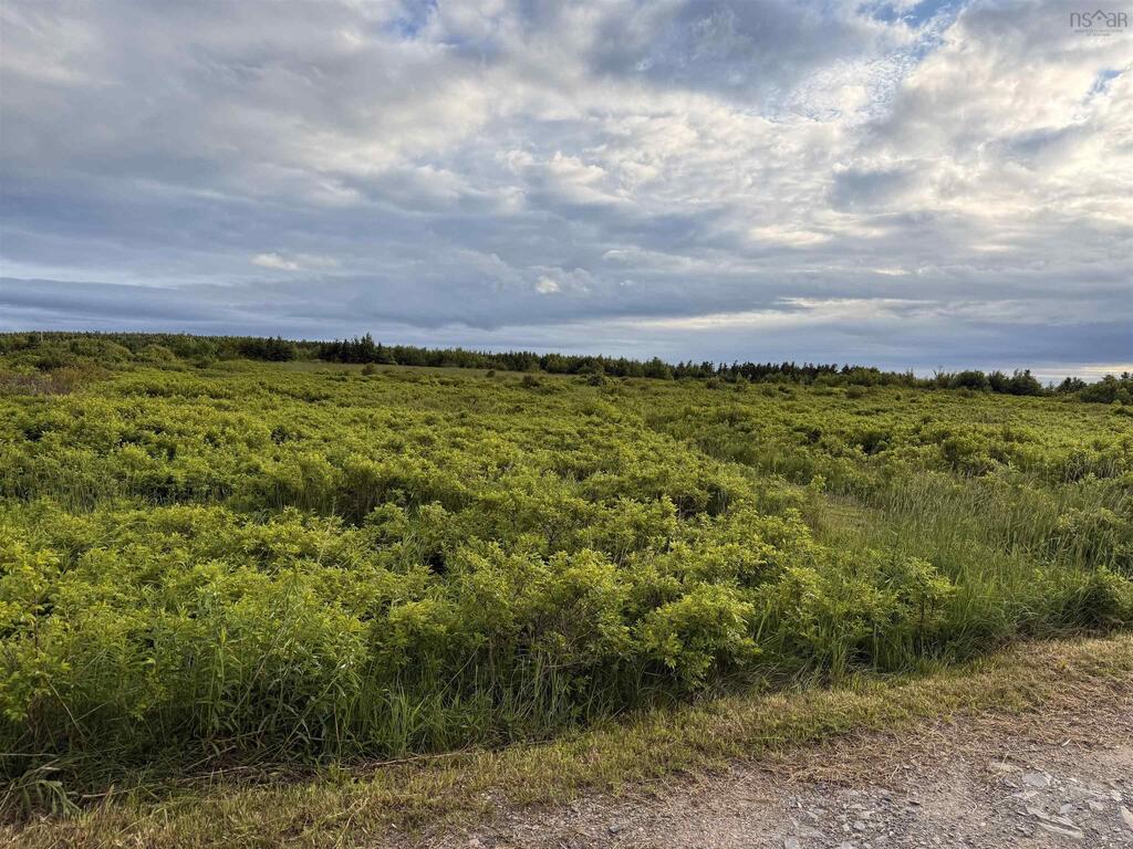  Chemin Simeon Aucoin Road, St. Joseph Du Moine - photo 2
