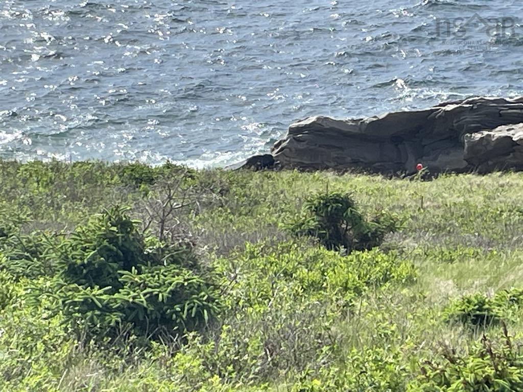  Cabot Trail, Cap Le Moine - photo 4