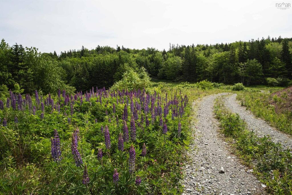  Highway 19, Glenville - photo 3