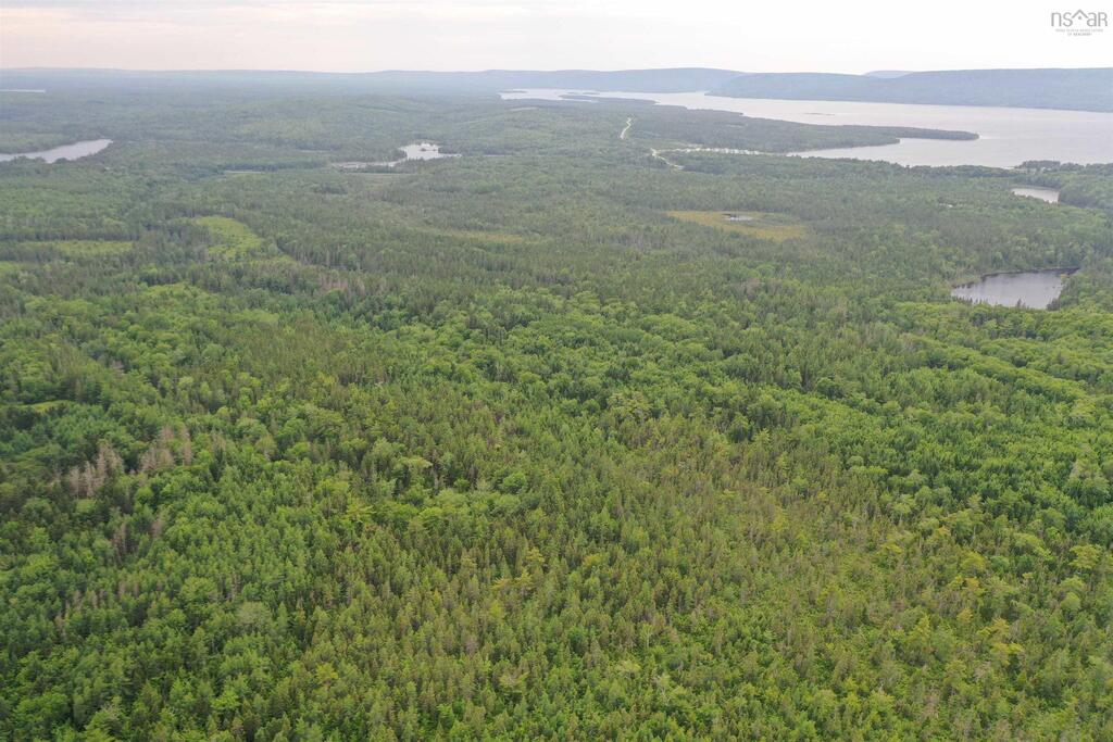  Rear Estmere Road, Estmere