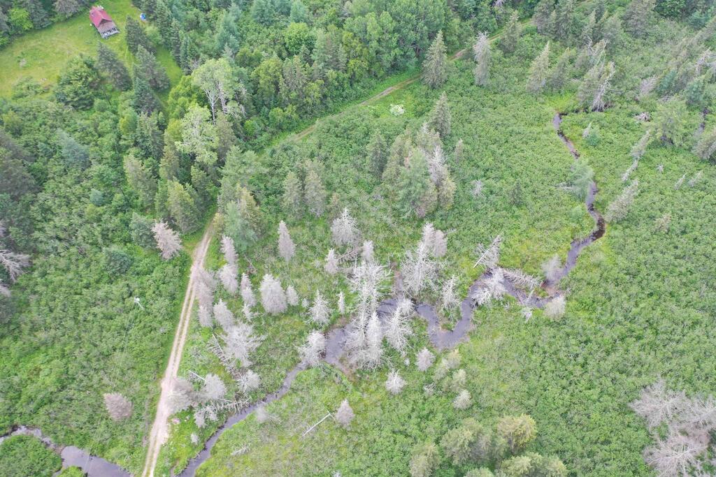  Rear Estmere Road, Estmere - photo 4