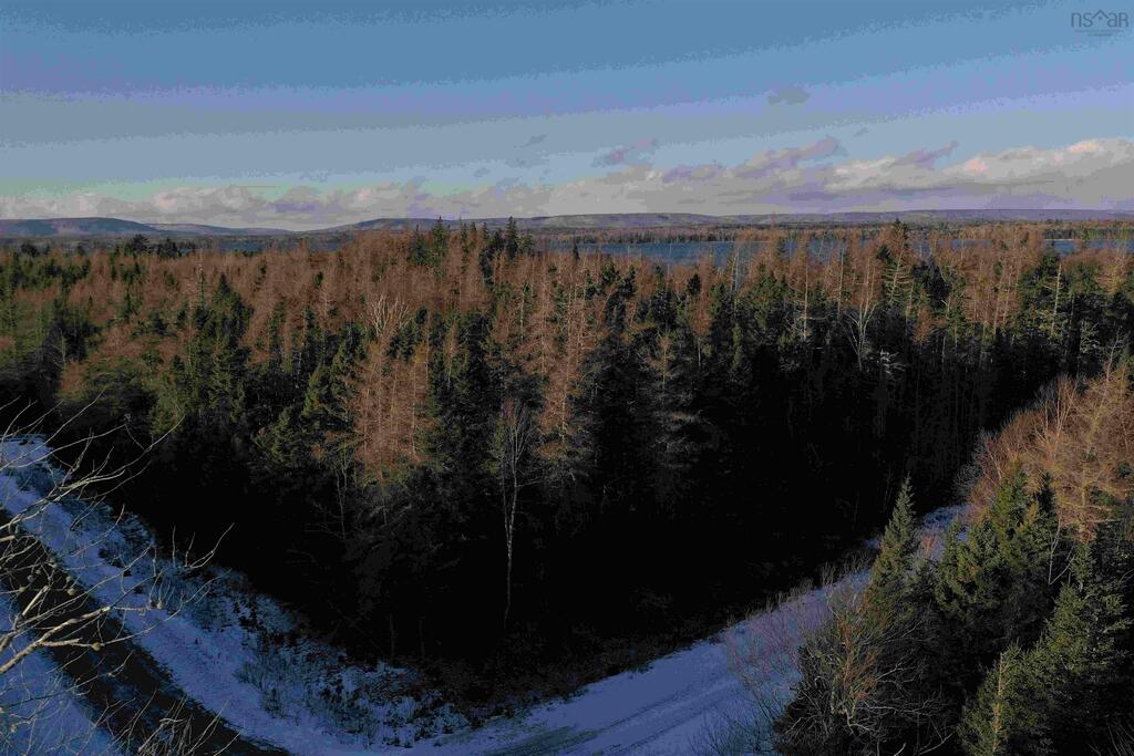  Marble Mountain Road, Valley Mills - photo 2