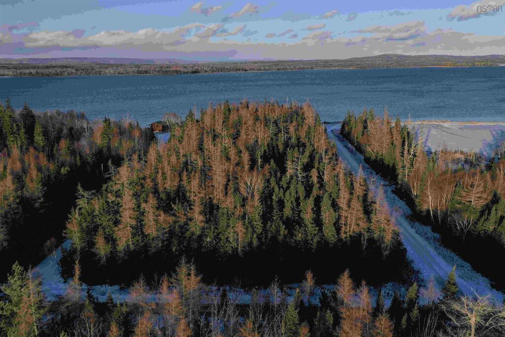  Marble Mountain Road, Valley Mills - photo 3