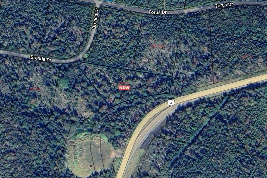 Lot 43 #4 Highway, Mcnabs Cove - photo 4