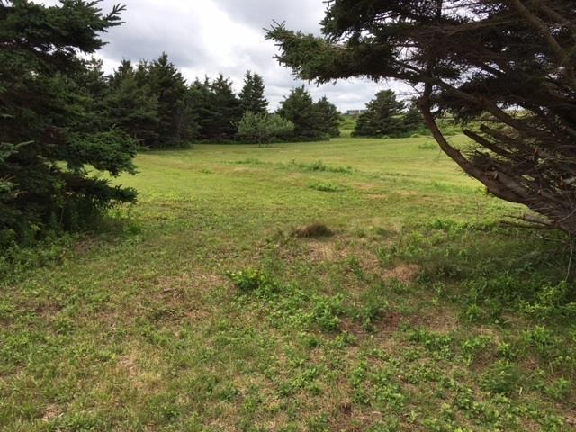  Roach Road, Point Cross - photo 3