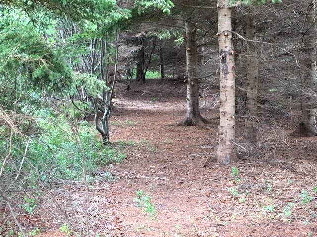  Roach Road, Point Cross - photo 4