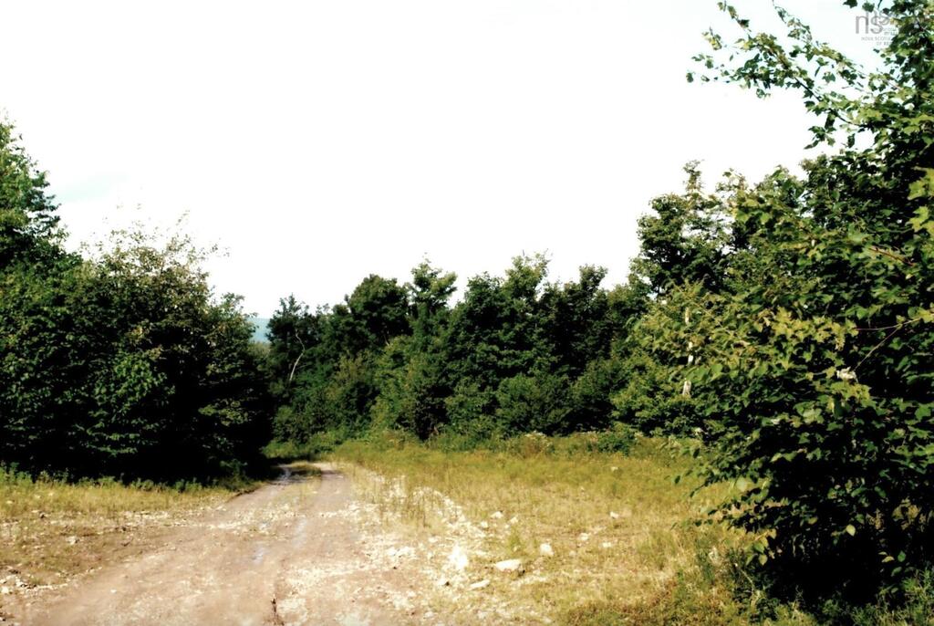 Lots 2 &amp; 3 Big Brook Road, Big Brook