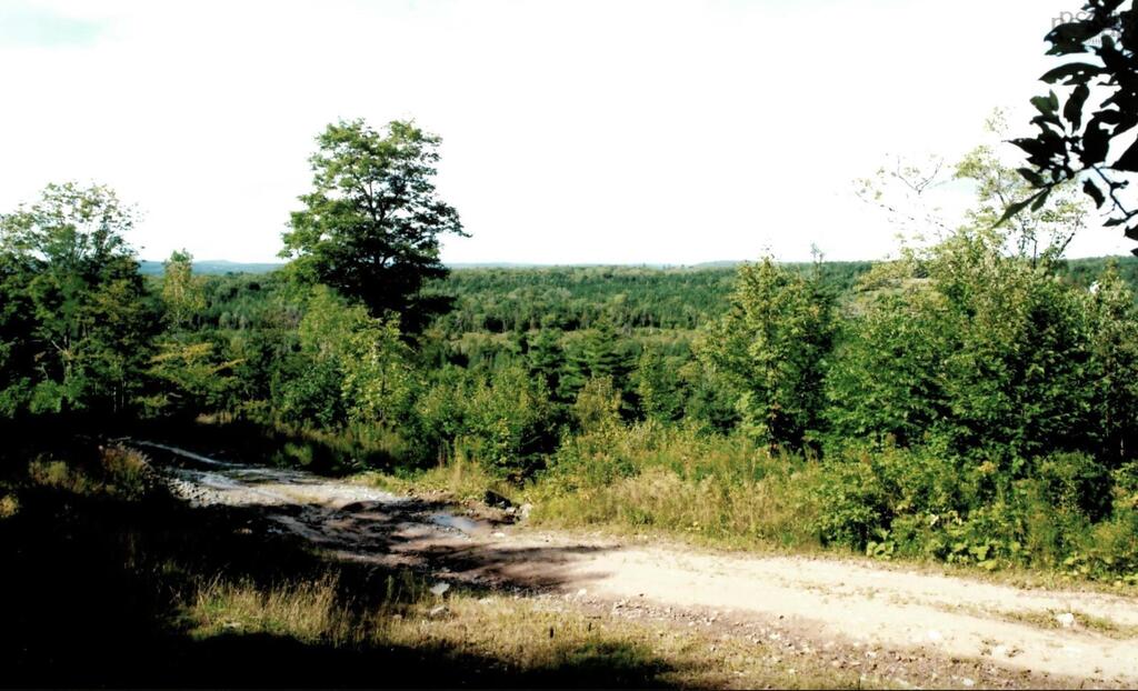 Lots 2 &amp; 3 Big Brook Road, Big Brook - photo 2