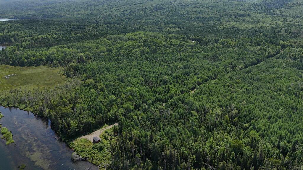  South S River Deny's, Valley Mills - photo 4