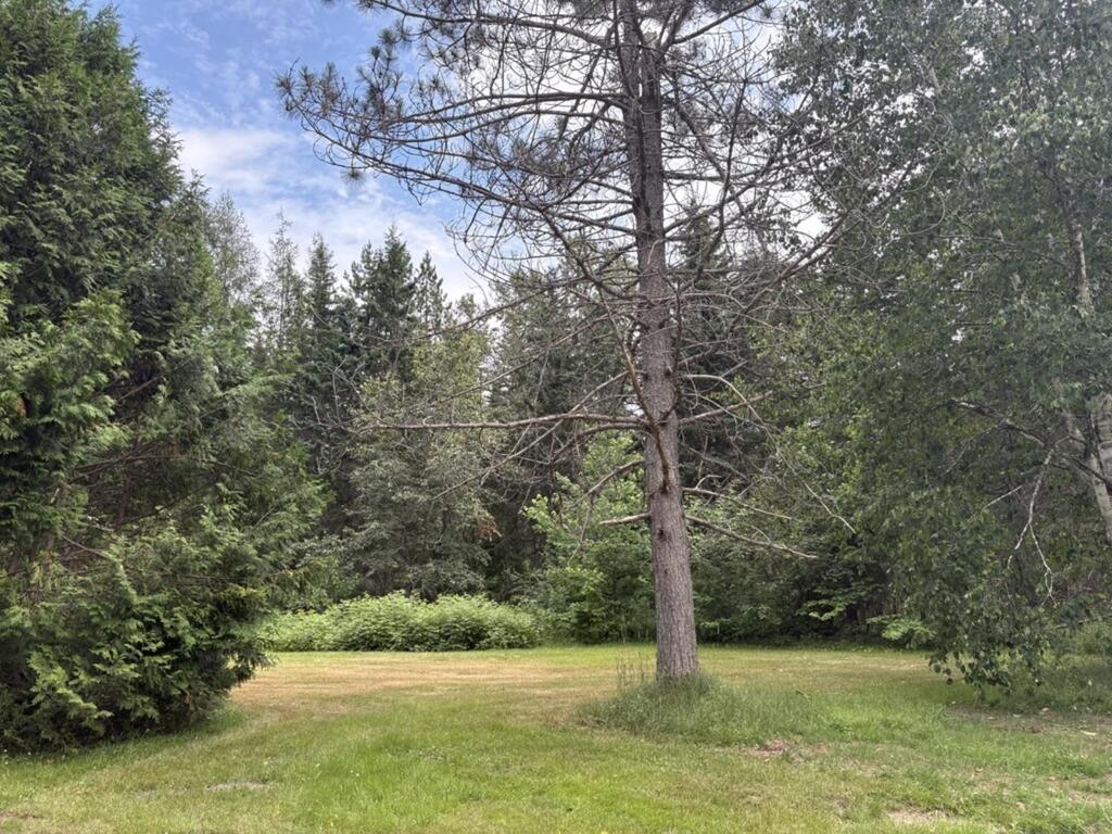 3512 East Big Intervale Rd., Margaree Valley - photo 4