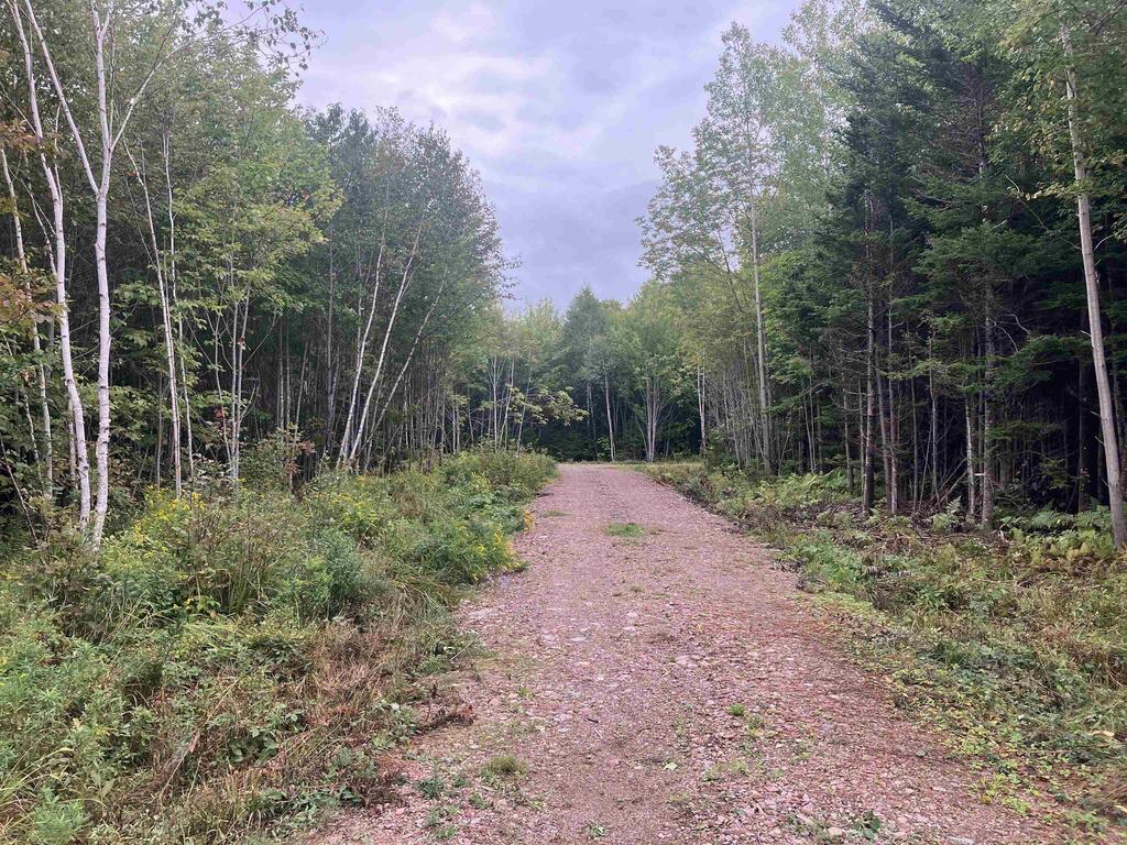 Lot 2020-5 Highway 223, Little Narrows - photo 2