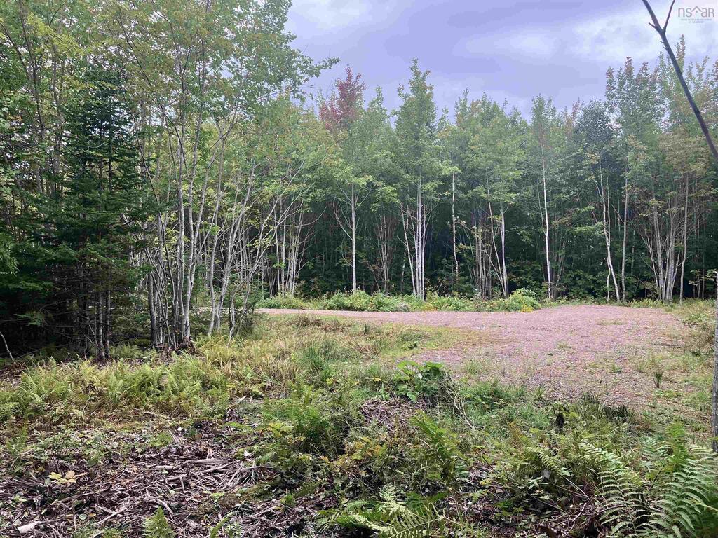 Lot 2020-5 Highway 223, Little Narrows - photo 4