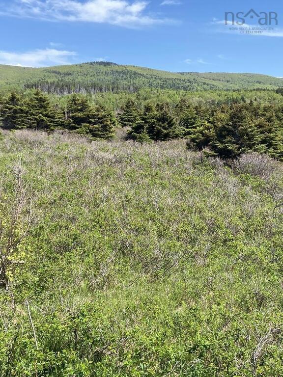  Cabot Trail, Cap Le Moine - photo 3