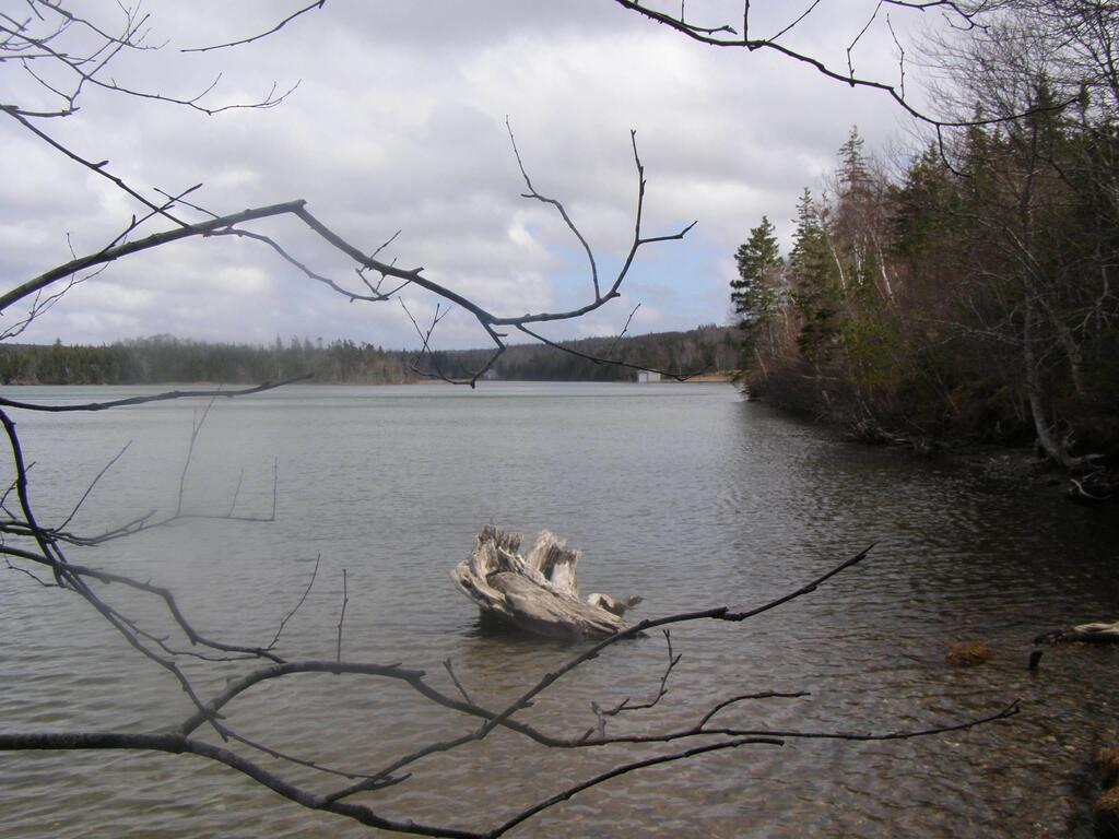 Unit 13  Torus Drive, Mcnabs Cove - photo 3