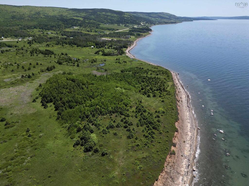 Acerage Highway 19, Long Point - photo 4