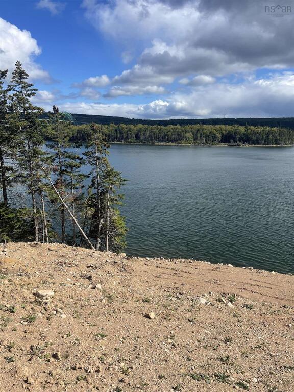 Lot217-1 And 12 New Harris Road, New Harris Settlement - photo 4