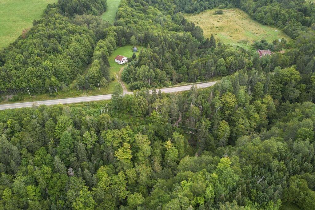  Highway 252, Hillsboro - photo 2