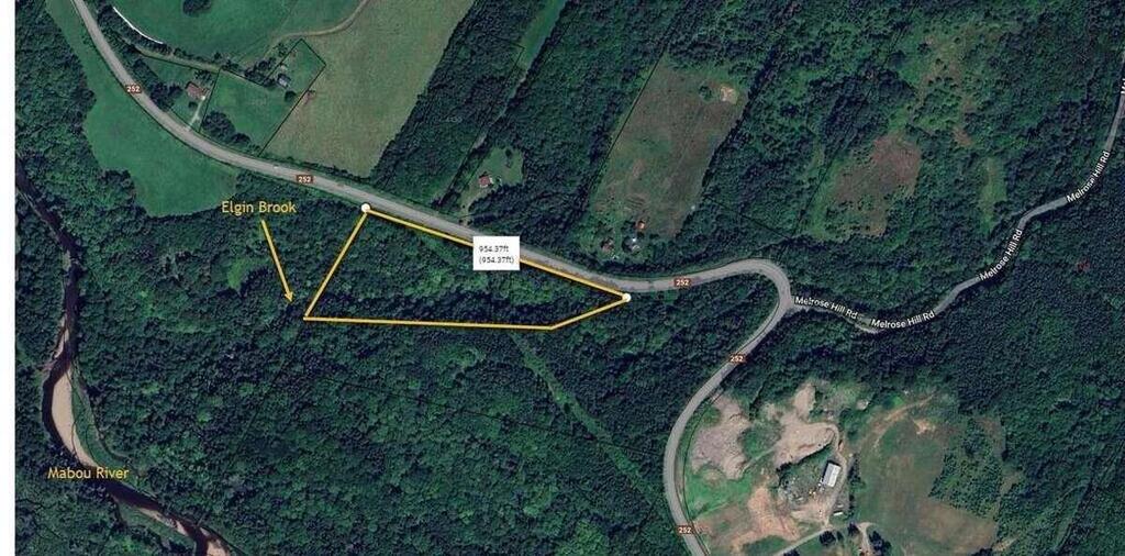  Highway 252, Hillsboro - photo 4